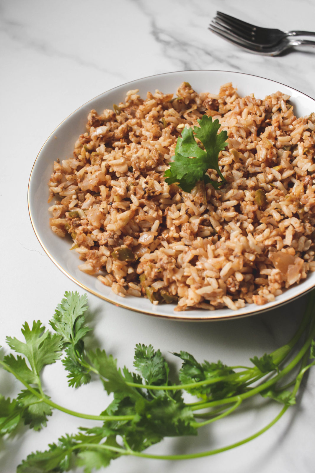 Easy PlantBased Dirty Rice Pure and PlantBased